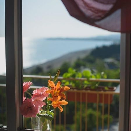 Guest House Arlen トゥサンドリプシュ エクステリア 写真